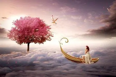 韩淼雨在全国残疾人运动会举重项目中斩获两枚金牌