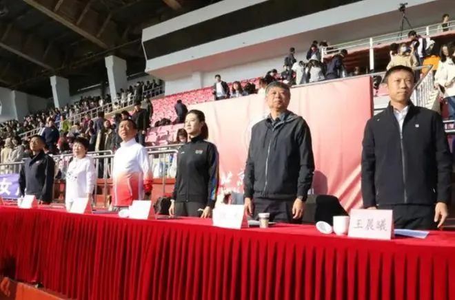 奥运冠军丁宁出任新职务引发媒体与球迷广泛关注