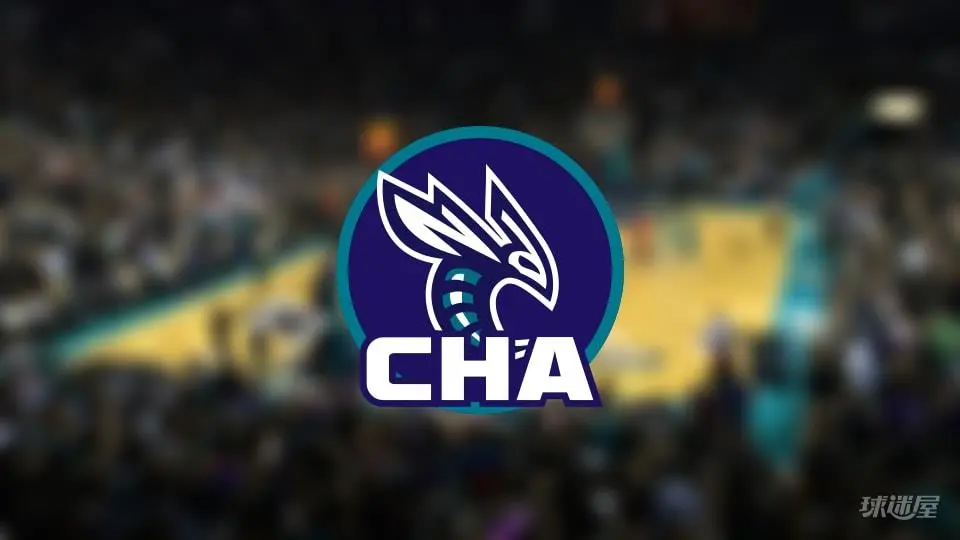 关键看点：鲍尔手腕伤情对黄蜂战力影响几何